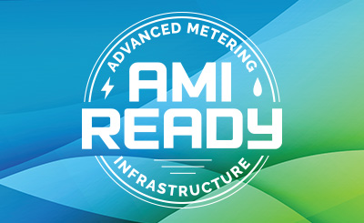 ERMU Advanced Metering Infrastructure Project